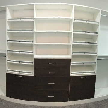 Master Closet in Denver Loft