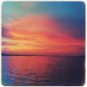 kimberly rogers's photo
