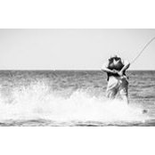Nicolas Loscertales's photo