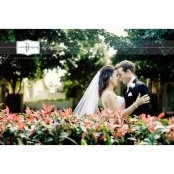 Scott Lambert's photo