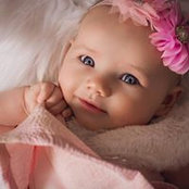 Shari Davis's photo