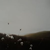 Sue Brookes's photo
