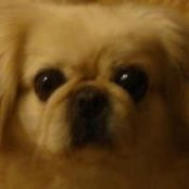 Andrea Shinn's photo
