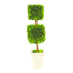 French Market 10399 24" Preserved Boxwood Square Topiary - Artificial Plants And Trees