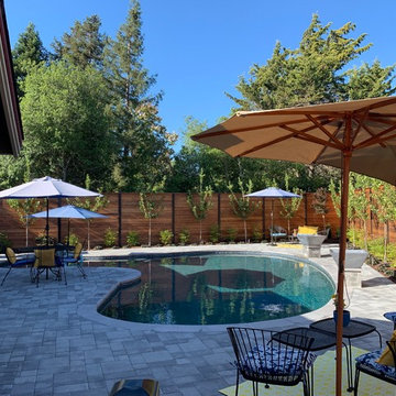 Petaluma Pool renovation