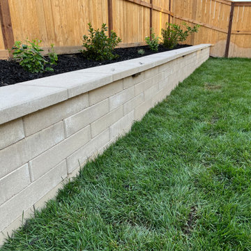 New plants with drip system