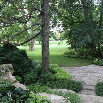 Enchanted Woods - AWARD WINNING!