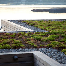 moss for under stairs