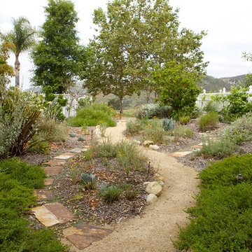 California native plants