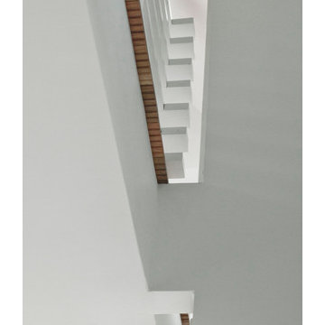 12 X Walnut Home