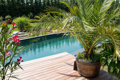 Pool mit Natursteinplatten in Leipzig