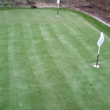 Artificial Turf