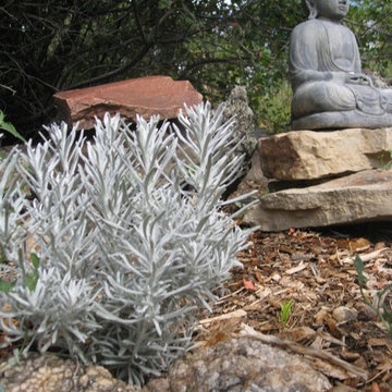 Edible Forest Garden