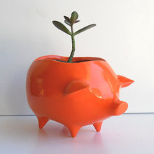 Decoração Agriness