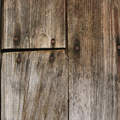 Sharon M's photo