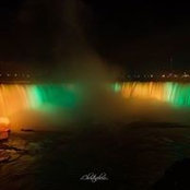 Tim Brown's photo
