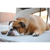 Maddison Hernandez's photo