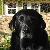 Paul Wellingham's photo