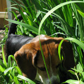 Chris Chatfield's photo