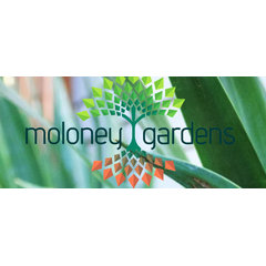 Moloney Gardens