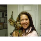 Sandi Bodnars foto