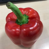 Romana Müller's photo