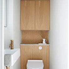 Downstairs loo