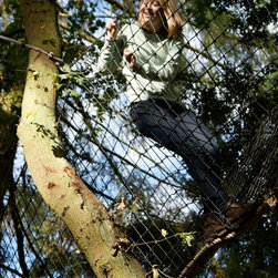 Tree Canopy Walkways for stunning woodland 'sky walking' and 'tree surfing' - Garden Playhouses