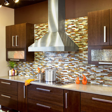 Contemporary Kitchen with Orange Cabinets