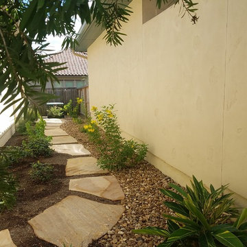 New Patio and Side yard walkway and Plants