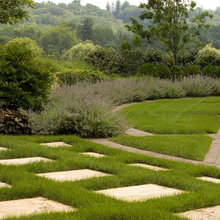 yard space