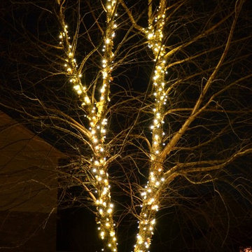 Holiday Lighting