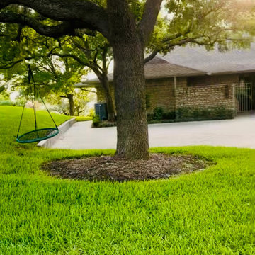 Fresh Vibes Only! Driveway Install and Greenery
