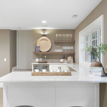 Excelsior - lower level remodel
