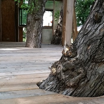 Real Tree House - Real House on a tree