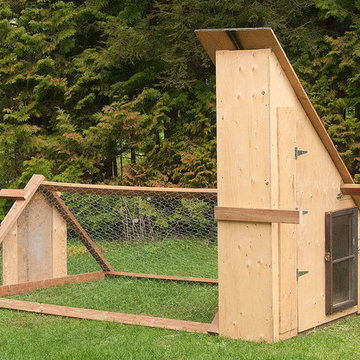 Chicken Coop