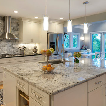 White and Grey Transitional Kitchen