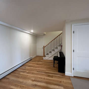 Basement Remodel