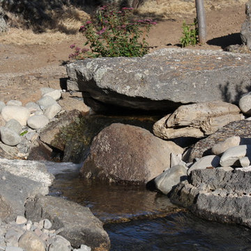 Hillside Stream