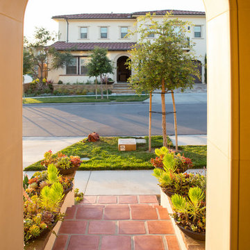 Spanish Courtyard