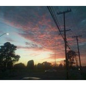 Diego Deetz's photo