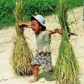 Foto von Nam Tran