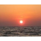 Shay Wilson's photo