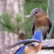 Starr Flynn's photo