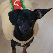 Pia Christerson's photo