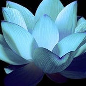 Igor Fotin's photo