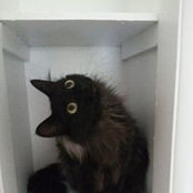 Karen DeVries's photo