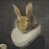 Tobias Knut's photo