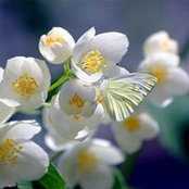 Janice Biggs's photo