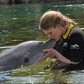 Meghan Leuschner's photo